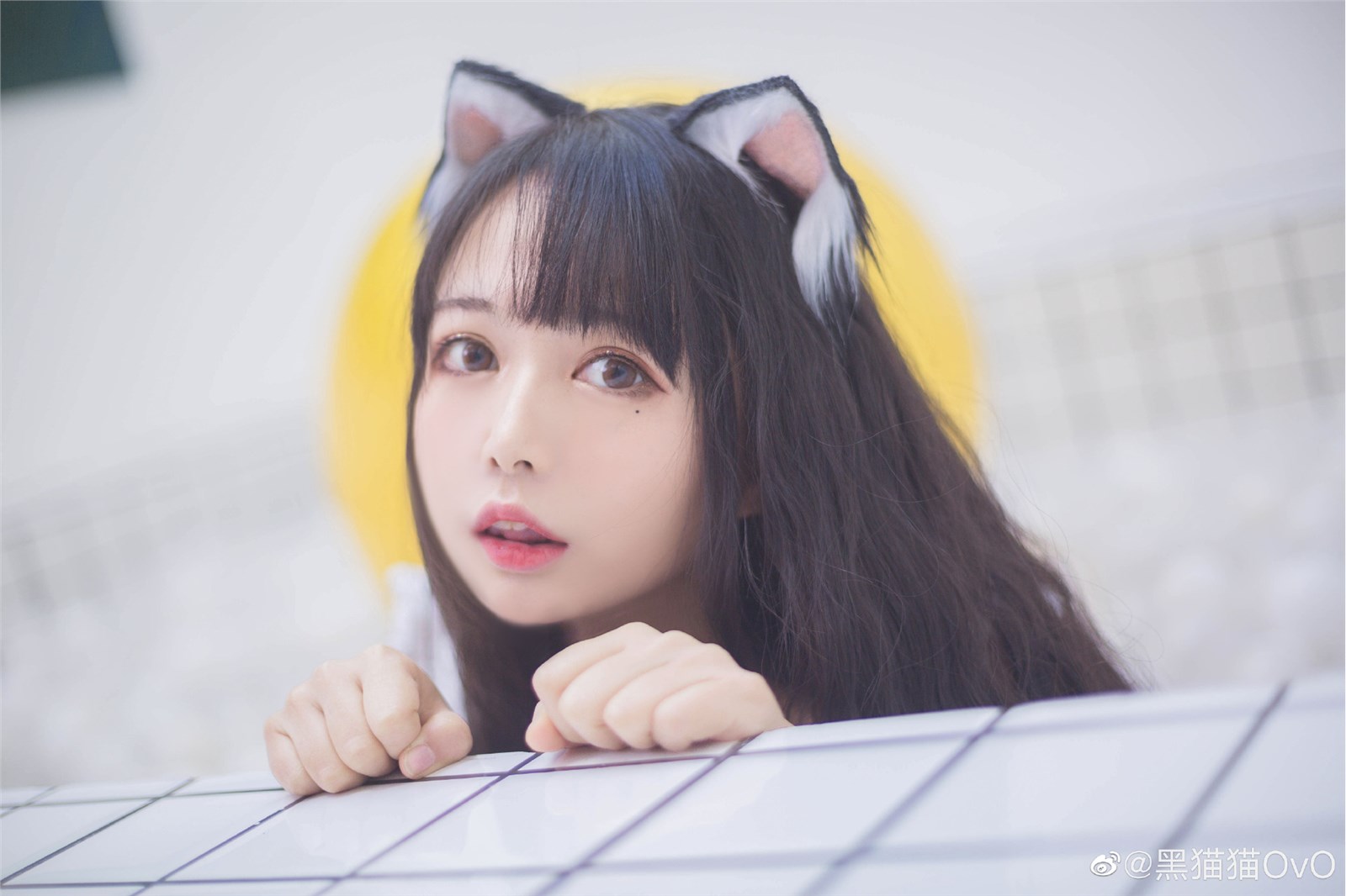 Black cat ovo microblog maid meow(5)